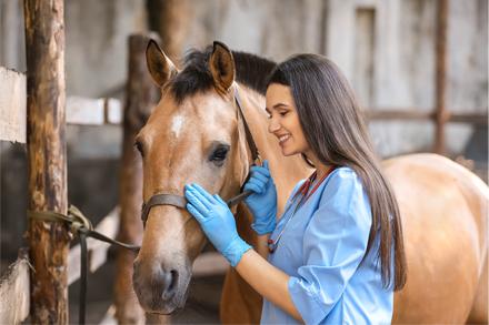 VT Girl Checking Up On Horse